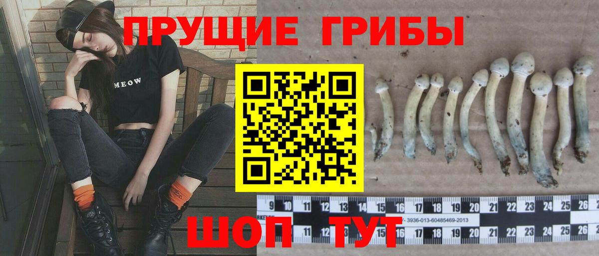 Псилоцибиновые грибы Magic Shrooms Георгиевск